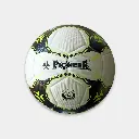 PRO-4-03.webp