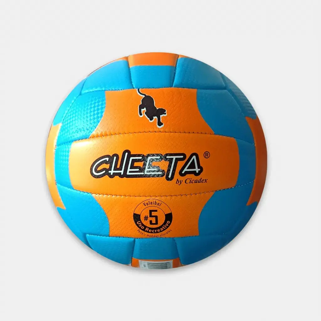 BALON VOLEIBOL