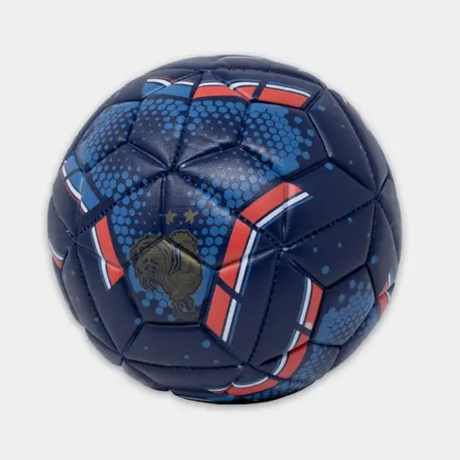 BALON FUTBOL #5 FRANCIA